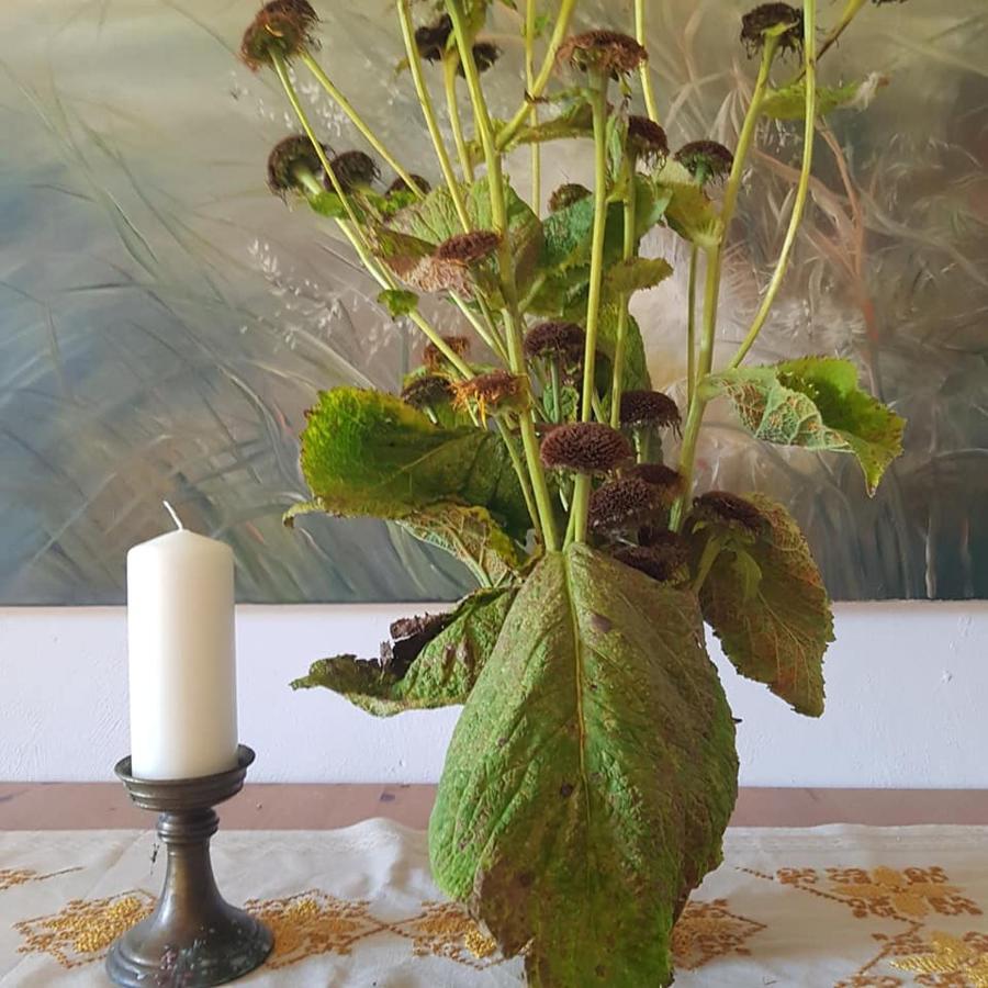 كودوفا- زدروي Pokoje Goscinne Art- Dworek المظهر الخارجي الصورة